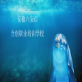 安徽六安市合创职业培...